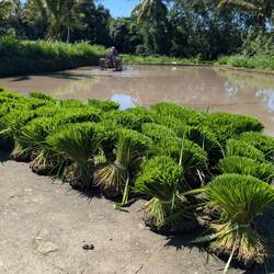 Farmers at work 🥵