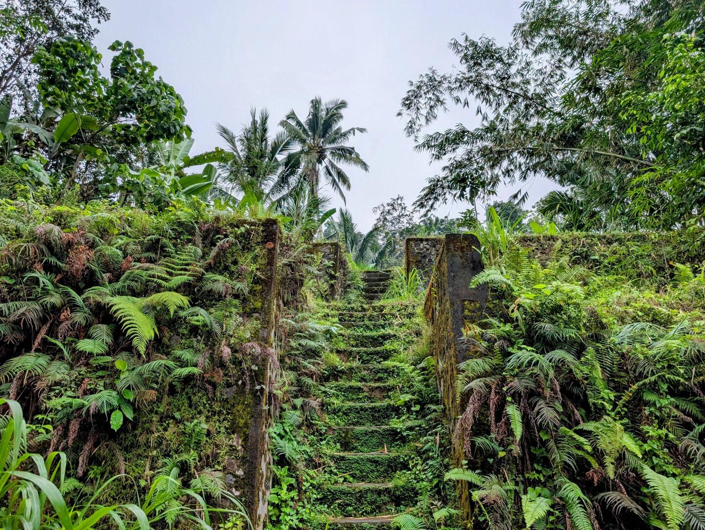 Exploring the area 🏞️