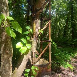 Und jetzt ein paar Eindrücke von dem Verfall auf der Insel...