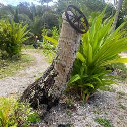 Andere dekorieren mit Korallen, hier werden die rostigen Reste genutzt.