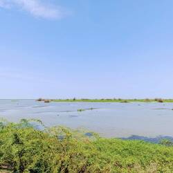 The Head of Lake Turkana