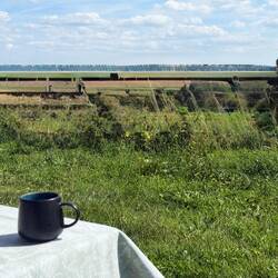 Ausblick vom Kaffeetisch