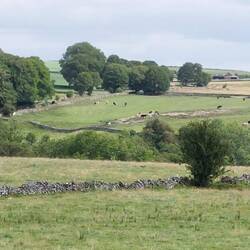 Views across meadows leaving Wormhill
