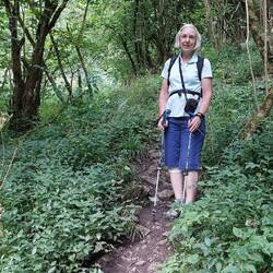 Monk's Dale; in the woods