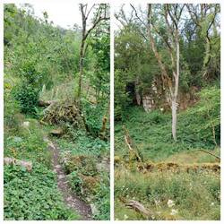 Monk's Dale