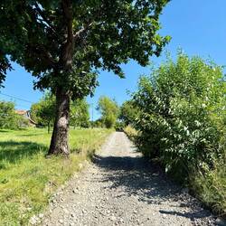 Der letzte strenge Aufstieg des Tages war zu diesem Zeitpunkt fast geschafft. 🙏🏻