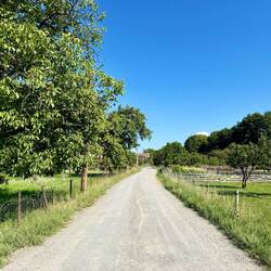 Das letzte Stück nach Brădețelu war sehr angenehm zu gehen.