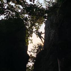 Spider-Felix in der Morgensonne