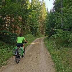 Nette Radwege durch den Wald