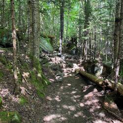 Hier waren die Bob und Rodel Veranstaltungen bei der Olympiade 1980 und immer noch viel genutzt!