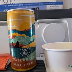 Champagne (?) in a pop top can!!