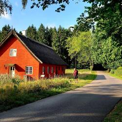 Das Fledermaushaus mit Wasserhahn mitten im Wald