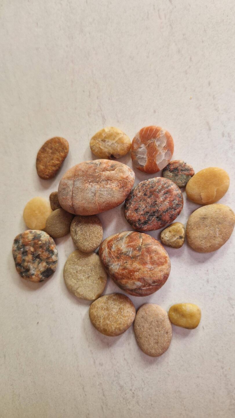 Echter Berndstein 😜