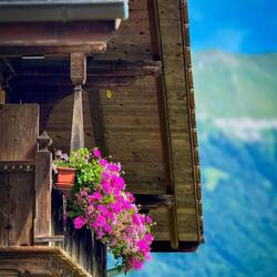 Typically Swiss — Iseltwald.
