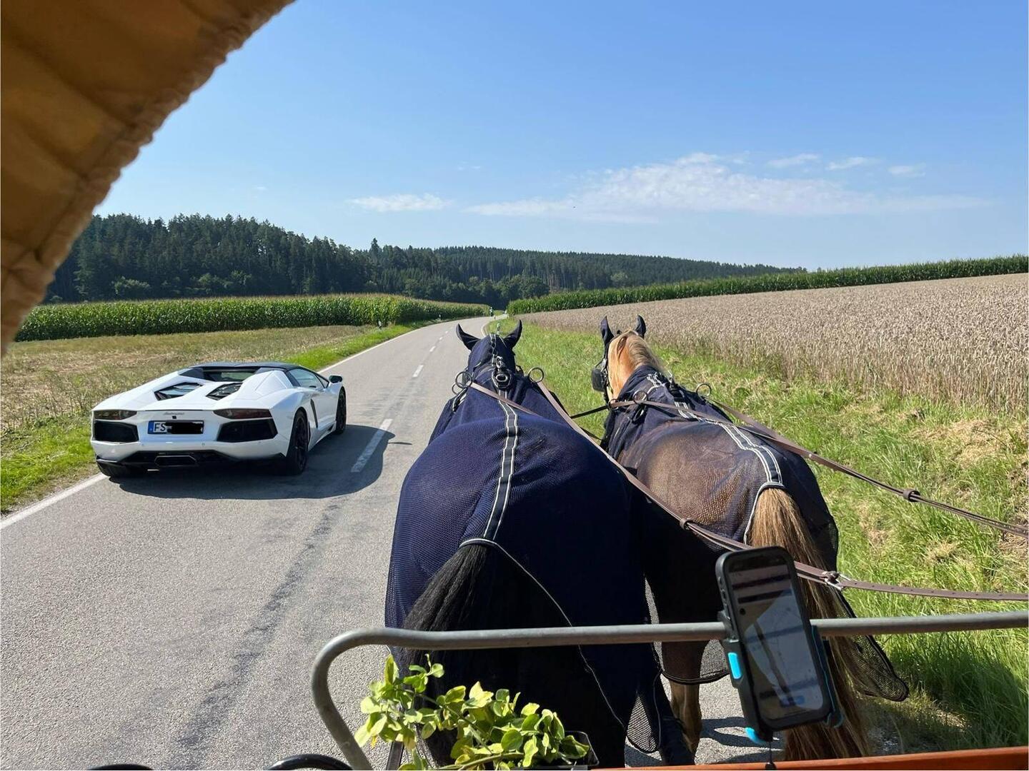 Der Lamborghini und der Bentley..,