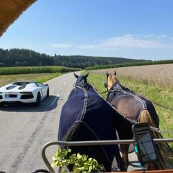 Der Lamborghini und der Bentley...