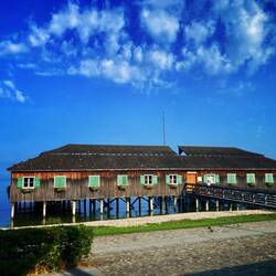 Am Bodensee bei Bregenz