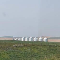 Im Hintergrund riesengroße Weizenfelder