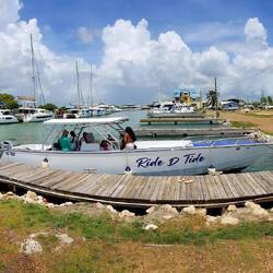 Old Marina Belize.