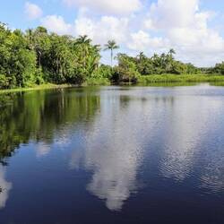 This lake near Altun Ha was an important source of water for the city.