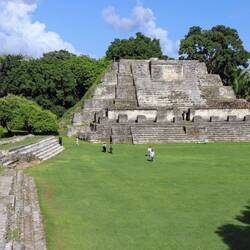 The main structure, the so-called "Temple of the Sun", Altun Ha.