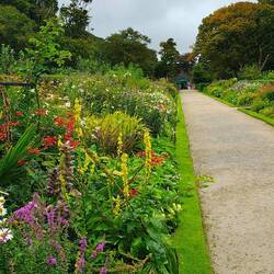 Walled Garden