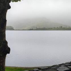 Nebelverhangener See