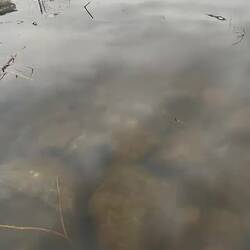 The Baltic sea. Next stop the Atlantic Ocean 600 km away.