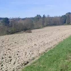 Morning hike on the valley floor. From Selånger onwards.