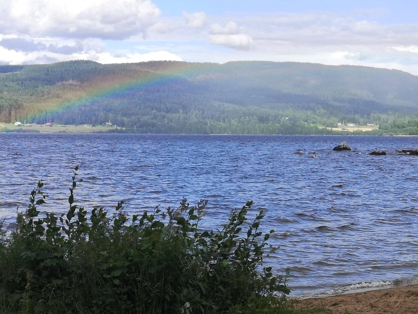 Regenbogen