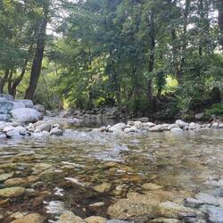 Fluss Restonica direkt beim Camping