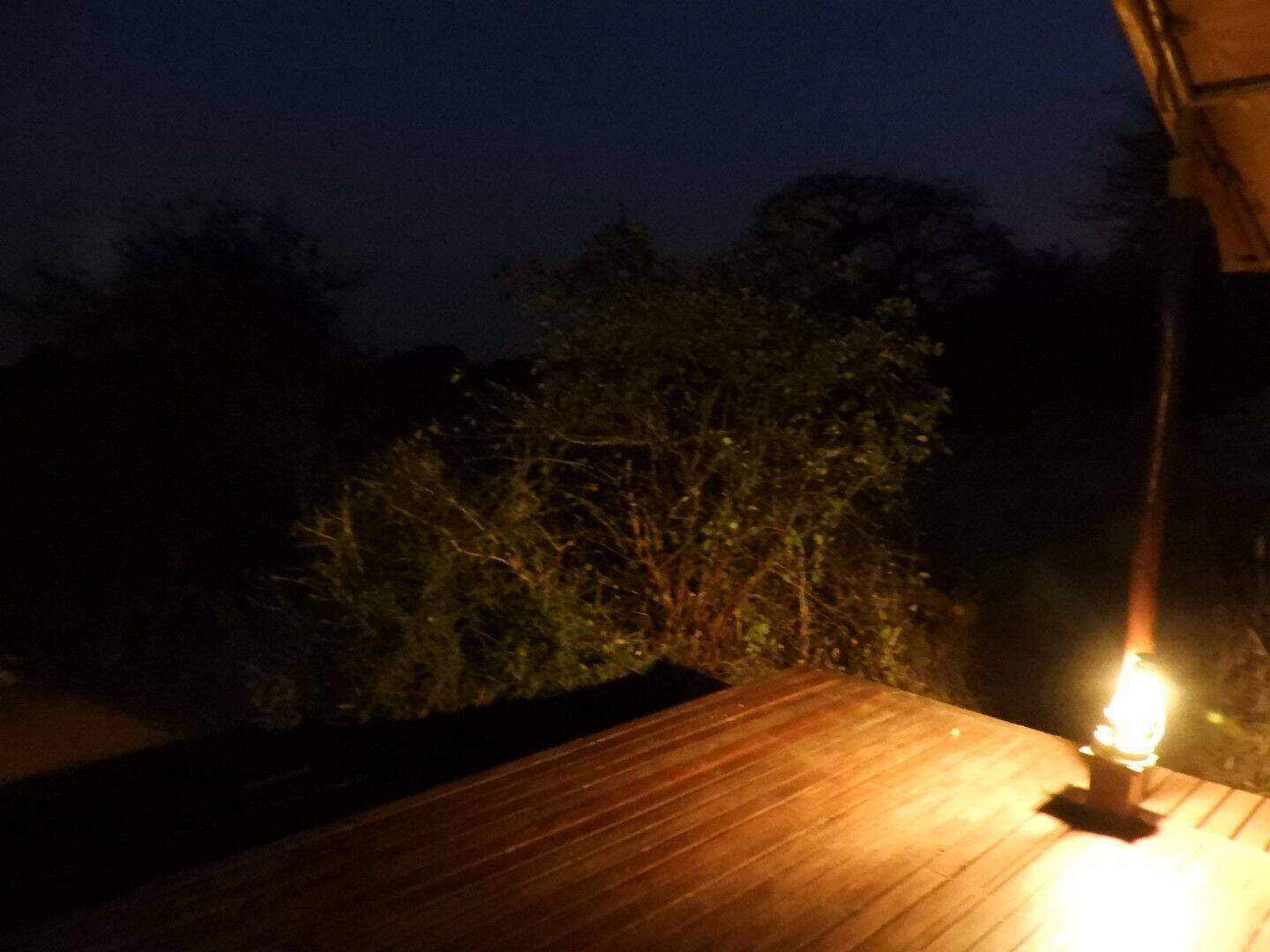 Der Busch wurde platt gemacht