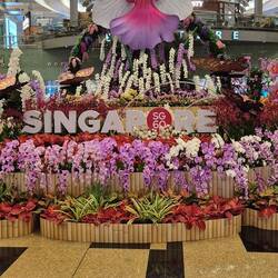 Noch in Singapur ....