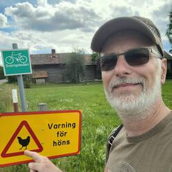 Vorsicht freilaufende Hühner!