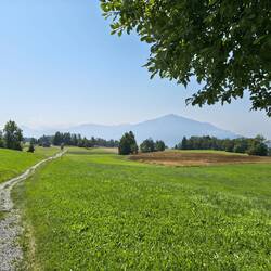 Rigi