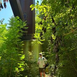 Standing under the bridge
