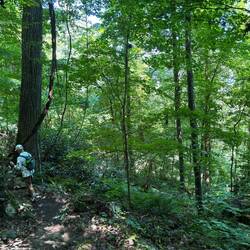 Butcher Branch Trail