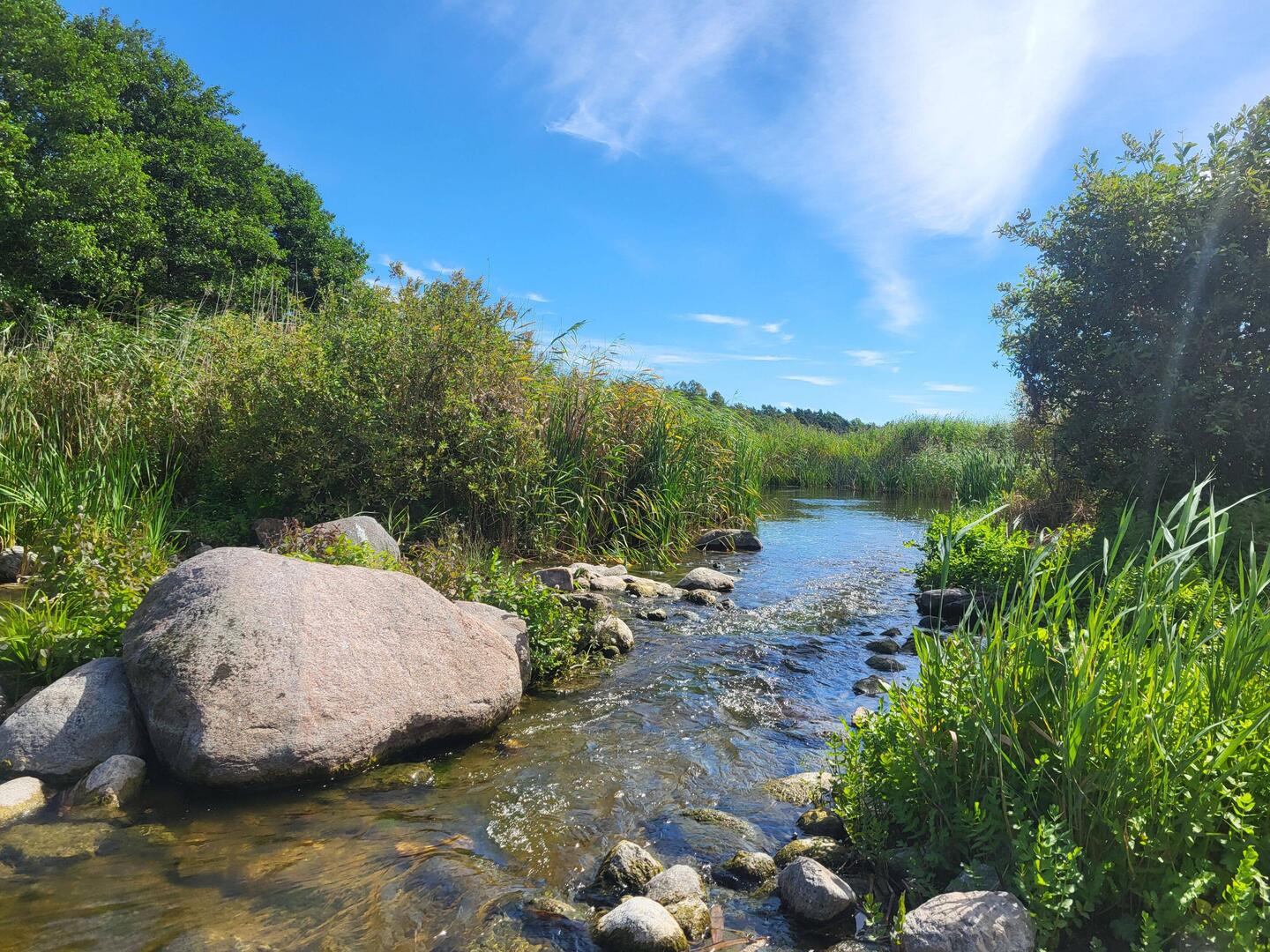 Der kleine Fluss Löve jõgi