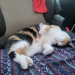 Abends ist sie dann immer platt.