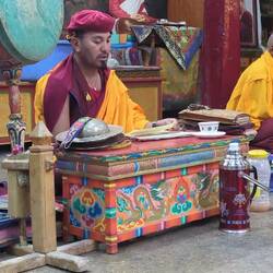 Verehrung: wir waren Beisitzer