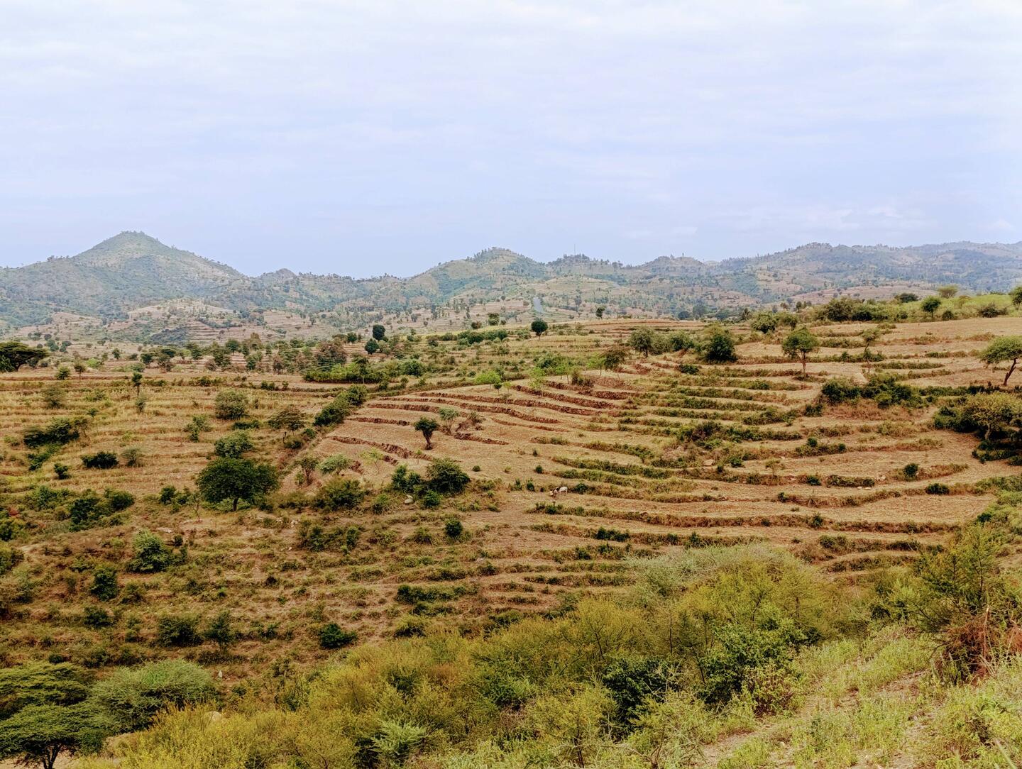 Konso Terraces