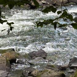 Rapids on Brush Creek