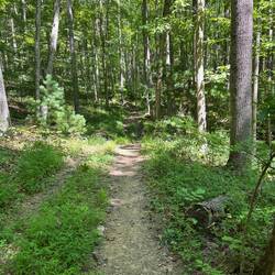 County Line trail at Pipestem