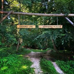 Downhill Trails als Alternativangebot 😜