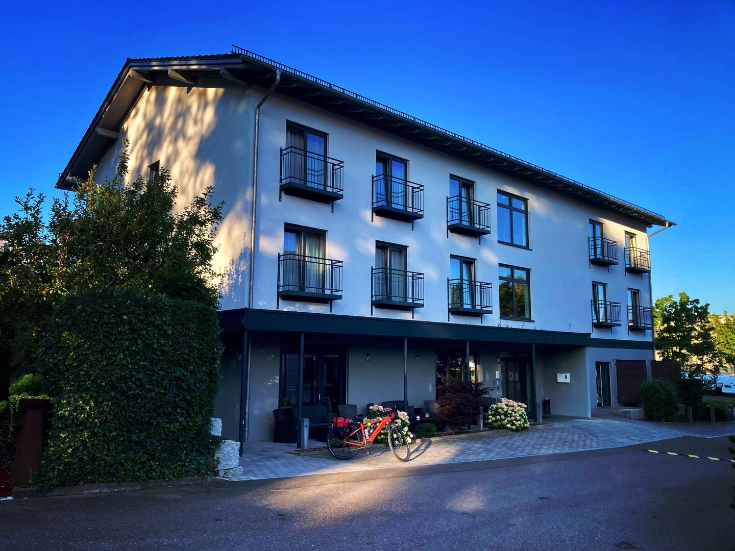 Hotel Wilder Mann