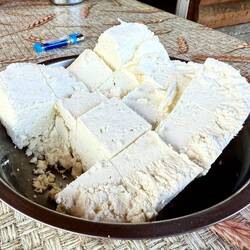 frischer Schafskäse
