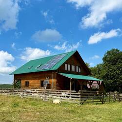die Alp „Târla fără gânduri“