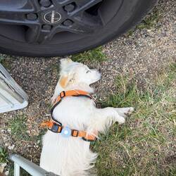 Platt ... ich auch 🤷🏻