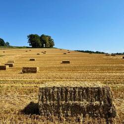 wieder sehr sonnig mit Temperaturen über 30°