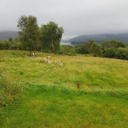 Abschiedblick aus unserer Unterkunft auf den Loch Etive und Maggie&Lisa🐐🐐
